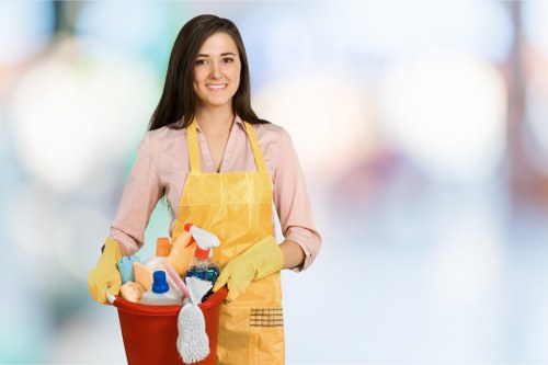 Final review of carpet cleaners safety procedures