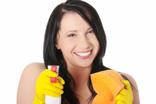 Upholstery cleaning equipment used on a fabric sofa